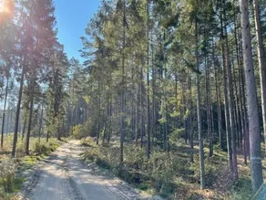 Kamyki - Image 3
