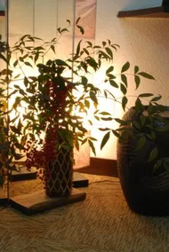 Kogakuro - Image 3