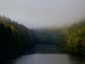 Forestside Escape Near Lake - Image 3