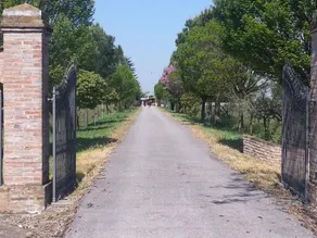 Agriturismo l'Angelina - Image 2