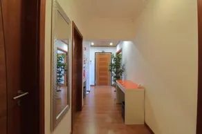 Tim House - Image 4