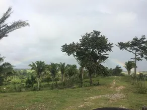 Coconut Ridge - Image 3