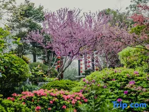 Fengxiangyuan Holiday Hotel - Image 2