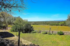235 Son Serra de Marina - Image 4