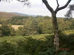 The Annexe Mockbeggar - Image 5