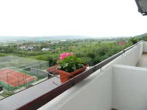 Pensiunea Diana - Image 4