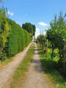 Station House - Image 5