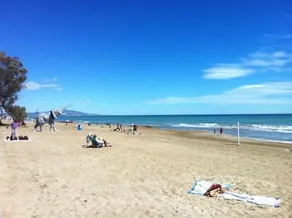 Cano Levante - Image 5
