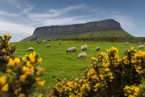 Benbulben Apartments - Image 3