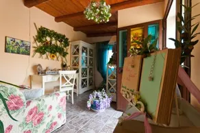 Fiori E Coccole - Image 4
