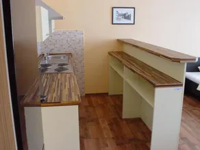 Larischova vila - Image 3