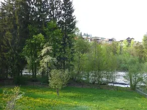 Nolla Apartment - Image 3