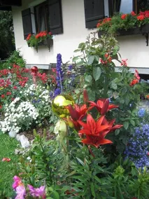 Tirol-Haus Irma - Image 2