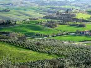 Appartamento il castellare - Image 2