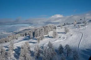 Trinite MOUNTAIN & GARDEN chalet 10 pers by Alpvision Residences - Image 3