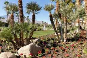 Desert Princess Vacation rental CONDO - Image 2