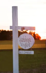 Sartshoga Vingard B&B - Image 3