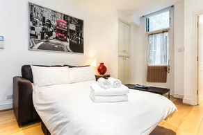 Flying Butler - Earl's Court Longridge Road Apartments - Image 5