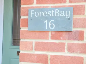 Forestbay - Image 4