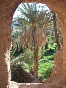 Auberge Tamnougalt - Image 5