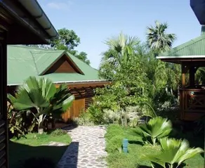 Le Jardin des Palmes - Image 5
