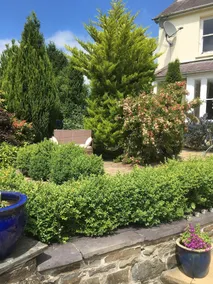 Taincwm B&B - Image 4