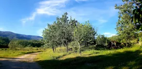 Casa Rural Colmenarejo - Image 4