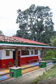 Hostal Las Camelias - Image 3