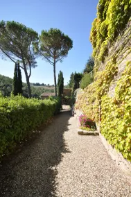 Villa Petra - Image 5