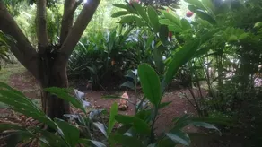 Pui Lodge - Image 3
