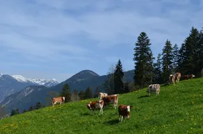 Ferienwohnung Eberharter - Image 2
