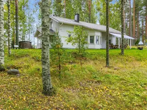 Siika Naaranlahti in Naaranlahti - Image 4
