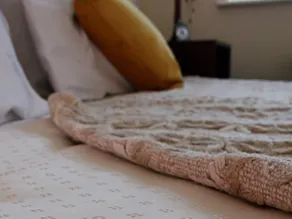 The Premier Hotel - Image 3