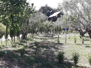 Pachamama Ecocamping - Image 4