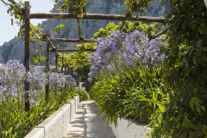 Suite Garden - Image 5