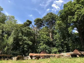 Edinburgh Cabin Camping - Image 4
