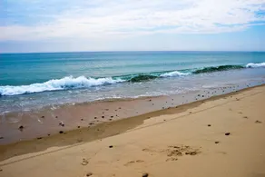 Near Coast & Bay - 3br W/ Fire Pit 3 Bedroom Home - Image 4