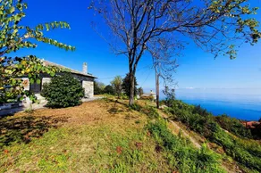 Beautiful Tranquil Stone Cottage - Image 4