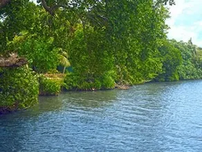 Lumbini Lagoon - Image 3
