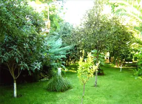 Club Turkuaz Garden Hotel Adult Only - Image 4