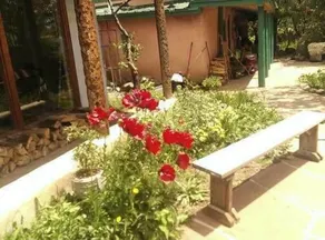 Royal Bear Lodge & Casita - Image 5