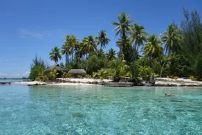 Tahiti Sail and Dive - Image 5