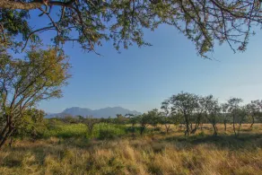 Nyumbani Estate Bush Lodge - Image 2