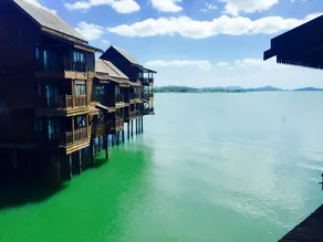 Sea Village - Image 4