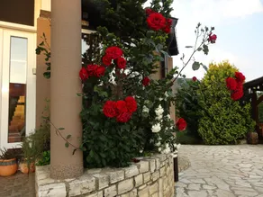 Apartments Kristina - Image 3