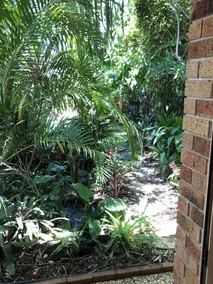 Sunshine Coast Tropical Getaway - Image 4