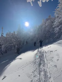 Le Ski Shack - Image 4