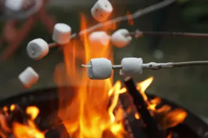 Family Camp - Image 4