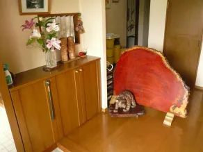 Pension Sirogisu - Image 2