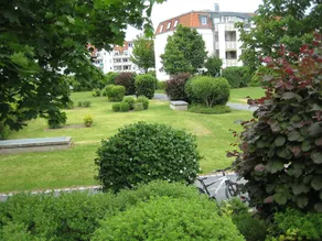 Kamelienweg Dresden in Dresden - Image 5